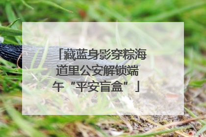 藏蓝身影穿粽海 道里公安解锁端午“平安盲盒”