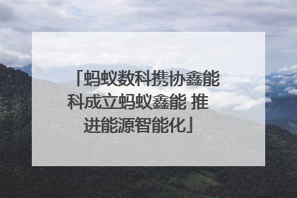 蚂蚁数科携协鑫能科成立蚂蚁鑫能 推进能源智能化