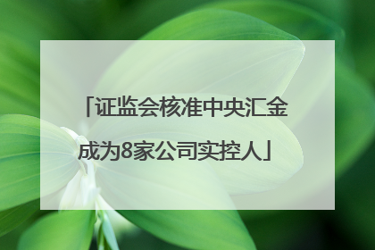 证监会核准中央汇金成为8家公司实控人