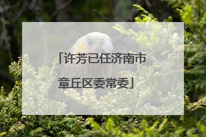 许芳已任济南市章丘区委常委