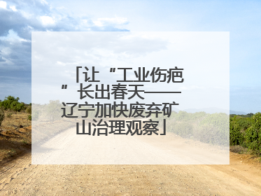 让“工业伤疤”长出春天——辽宁加快废弃矿山治理观察