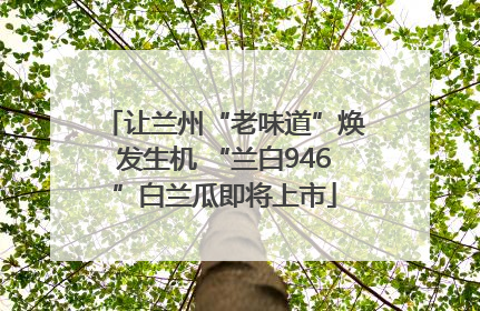 让兰州“老味道”焕发生机 “兰白946”白兰瓜即将上市