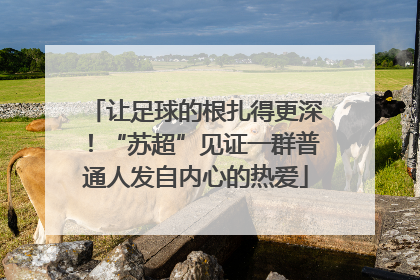 让足球的根扎得更深！“苏超”见证一群普通人发自内心的热爱