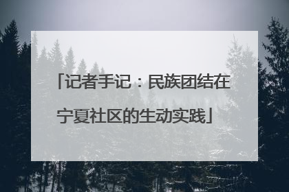 记者手记：民族团结在宁夏社区的生动实践