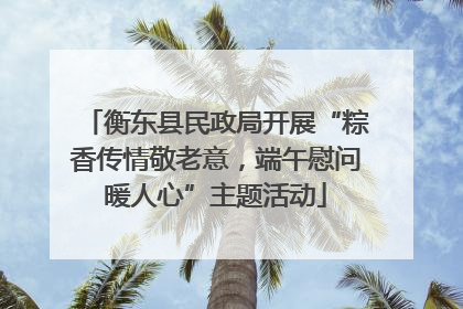 衡东县民政局开展“粽香传情敬老意，端午慰问暖人心”主题活动