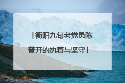 衡阳九旬老党员陈普开的执着与坚守
