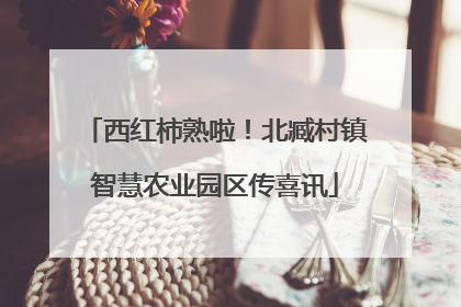 西红柿熟啦！北臧村镇智慧农业园区传喜讯