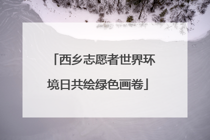 西乡志愿者世界环境日共绘绿色画卷