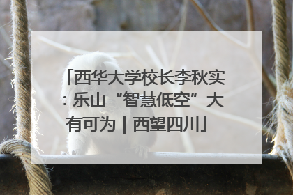 西华大学校长李秋实：乐山“智慧低空”大有可为｜西望四川