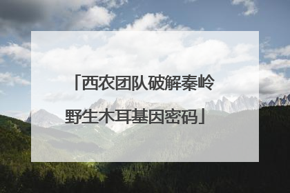 西农团队破解秦岭野生木耳基因密码