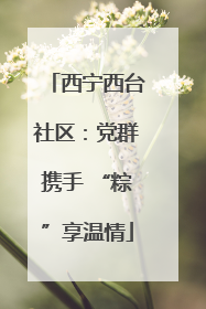 西宁西台社区：党群携手 “粽”享温情