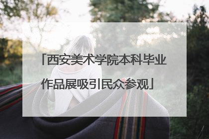 西安美术学院本科毕业作品展吸引民众参观