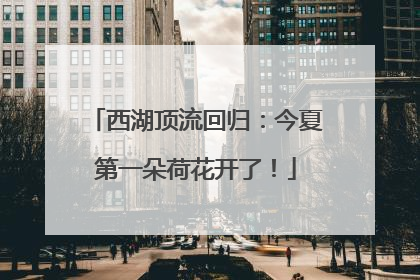 西湖顶流回归：今夏第一朵荷花开了！