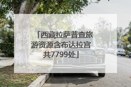 西藏拉萨普查旅游资源含布达拉宫共7799处