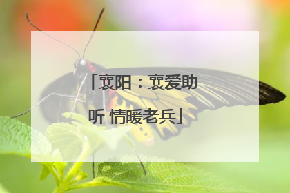 襄阳：襄爱助听 情暖老兵