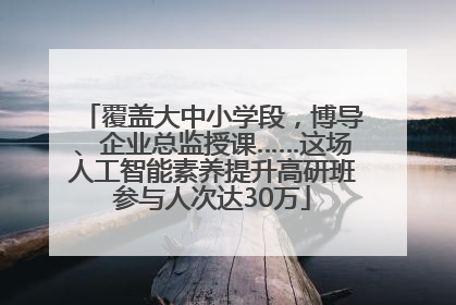 覆盖大中小学段，博导、企业总监授课……这场人工智能素养提升高研班参与人次达30万