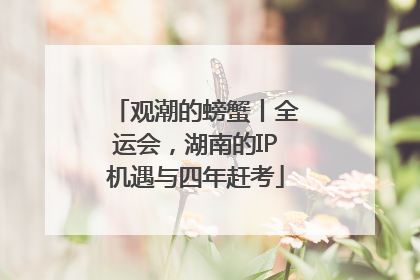观潮的螃蟹丨全运会，湖南的IP机遇与四年赶考
