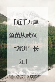 近千万尾鱼苗从武汉“游进”长江
