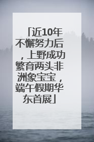 近10年不懈努力后，上野成功繁育两头非洲象宝宝，端午假期华东首展