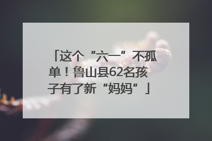 这个“六一”不孤单！鲁山县62名孩子有了新“妈妈”