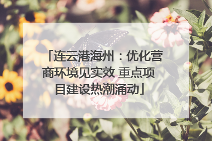 连云港海州：优化营商环境见实效 重点项目建设热潮涌动