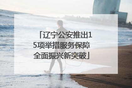 辽宁公安推出15项举措服务保障全面振兴新突破