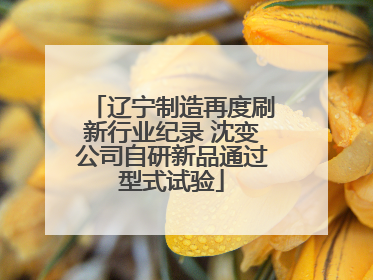 辽宁制造再度刷新行业纪录 沈变公司自研新品通过型式试验