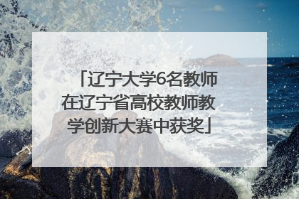 辽宁大学6名教师在辽宁省高校教师教学创新大赛中获奖