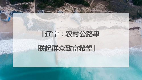 辽宁：农村公路串联起群众致富希望