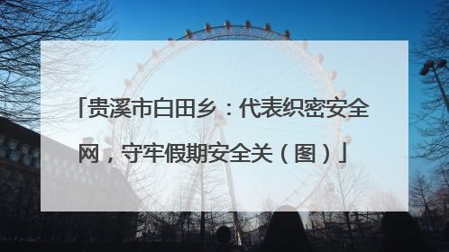 贵溪市白田乡：代表织密安全网，守牢假期安全关（图）