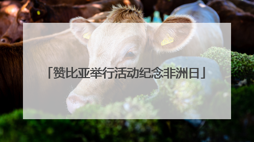 赞比亚举行活动纪念非洲日