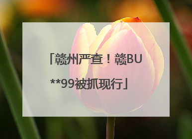 赣州严查！赣BU**99被抓现行