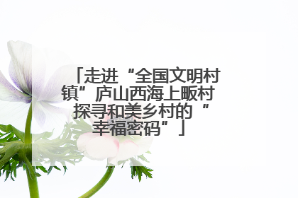走进“全国文明村镇”庐山西海上畈村 探寻和美乡村的“幸福密码”