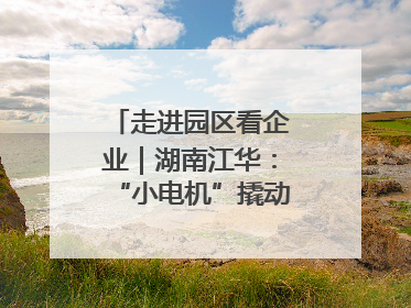 走进园区看企业｜湖南江华：“小电机”撬动“大产业”