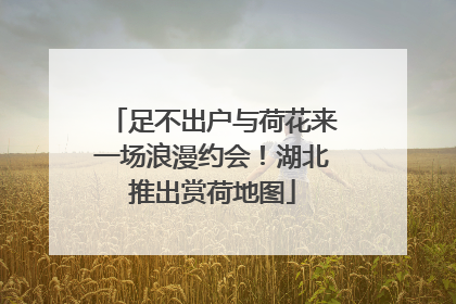 足不出户与荷花来一场浪漫约会！湖北推出赏荷地图