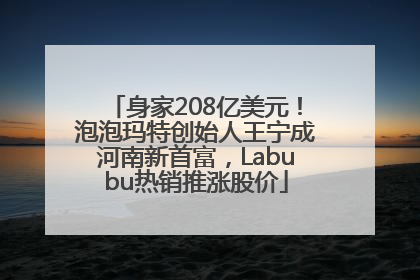 身家208亿美元！泡泡玛特创始人王宁成河南新首富，Labubu热销推涨股价