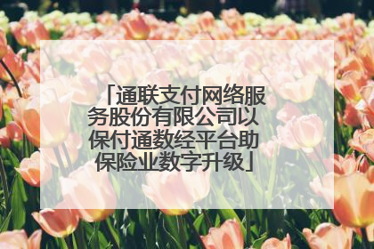 通联支付网络服务股份有限公司以保付通数经平台助保险业数字升级