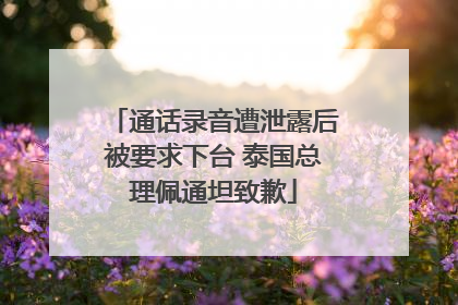 通话录音遭泄露后被要求下台 泰国总理佩通坦致歉