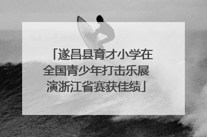 遂昌县育才小学在全国青少年打击乐展演浙江省赛获佳绩