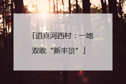 道真河西村：一地双收“新丰景”