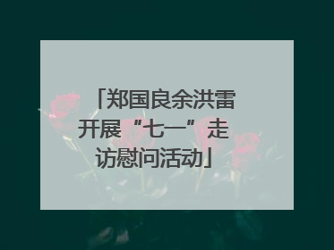 郑国良余洪雷开展“七一”走访慰问活动