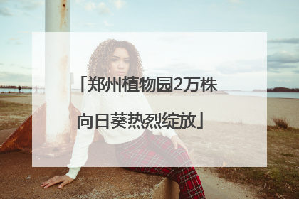 郑州植物园2万株向日葵热烈绽放