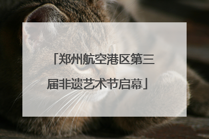 郑州航空港区第三届非遗艺术节启幕