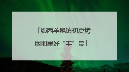 郧西羊尾镇初夏烤烟地里好“丰”景