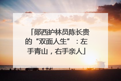 郧西护林员陈长贵的“双面人生”：左手青山，右手亲人