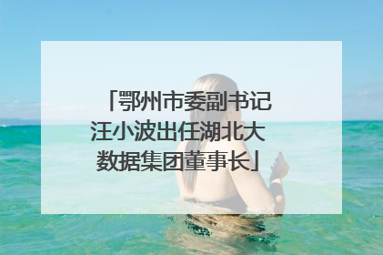 鄂州市委副书记汪小波出任湖北大数据集团董事长