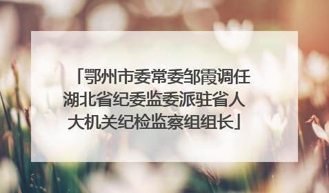 鄂州市委常委邹霞调任湖北省纪委监委派驻省人大机关纪检监察组组长