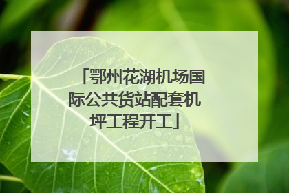 鄂州花湖机场国际公共货站配套机坪工程开工
