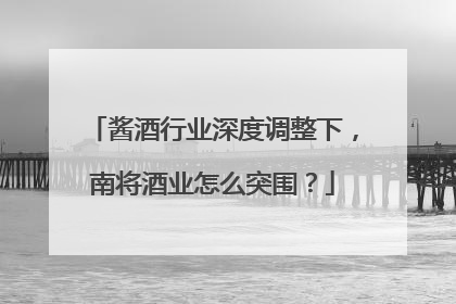 酱酒行业深度调整下，南将酒业怎么突围？