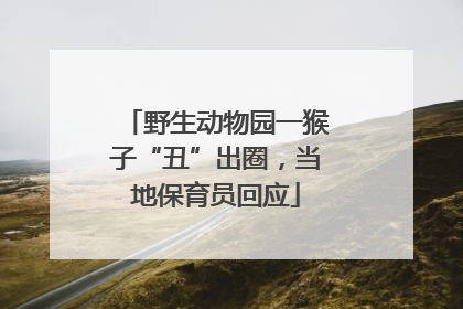 野生动物园一猴子“丑”出圈，当地保育员回应
